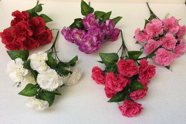 Carnation Soft Bunch x 9